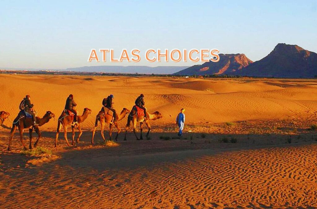 Camel caravan trekking in the Zagora Desert, part of a 2 days desert tour from Marrakech to Zagora.