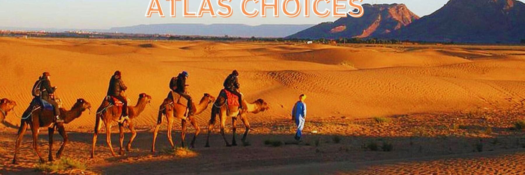 Camel caravan trekking in the Zagora Desert, part of a 2 days desert tour from Marrakech to Zagora.