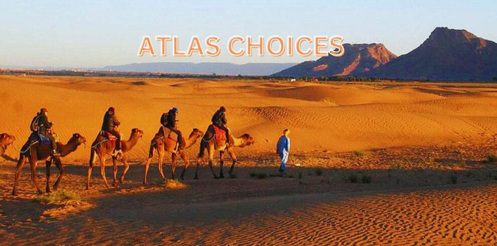 Camel caravan trekking in the Zagora Desert, part of a 2 days desert tour from Marrakech to Zagora.