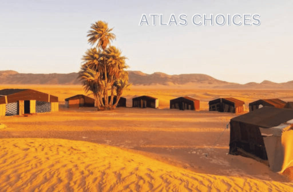 Palm groves in Draa Valley, a must-see on your Zagora desert travel Morocco tours.