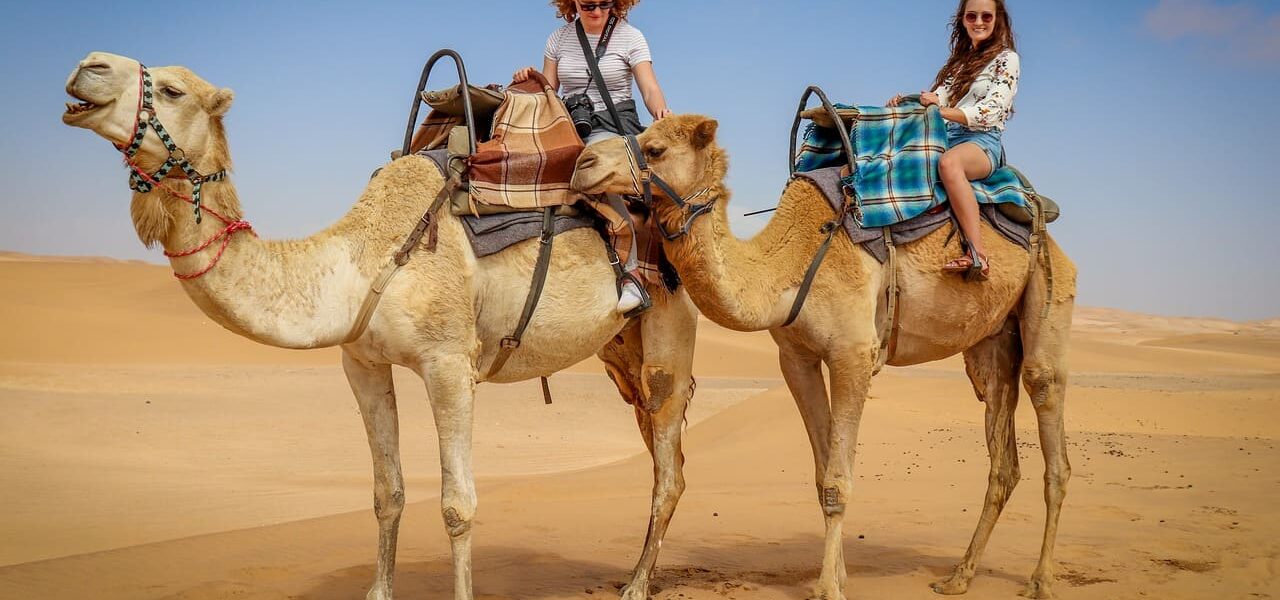 A luxury desert camp under a starlit sky in Erg Chebbi during a Marrakech to Fes tour.